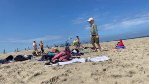 Les accueils de loisirs à la plage