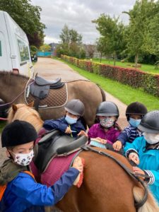 De l’équitation à l’accueil de loisirs