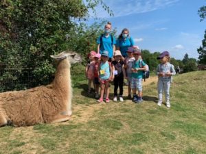 Sortie au Zoo de Maubeuge