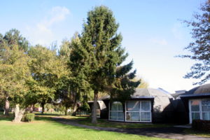 École maternelle Debussy