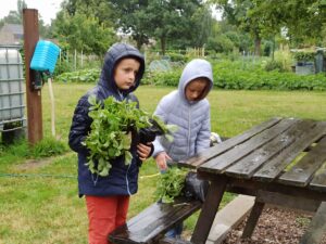 Les jeunes jardiniers de Billy-Berclau