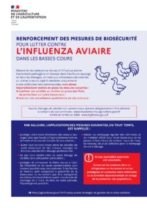 INFLUENZA AVIAIRE