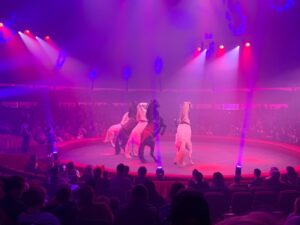 Le club ados jeunesse au cirque Arlette Gruss