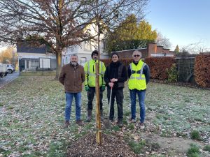 UN POMMIER DE WEILROD PLANTE