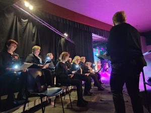 Comédie musicale « Mary en Scène »