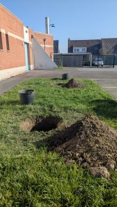 La végétalisation de Billy-Berclau continue !