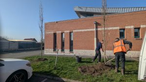 La végétalisation de Billy-Berclau continue !