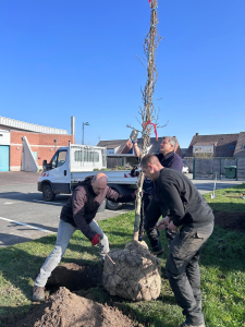 La végétalisation de Billy-Berclau continue !