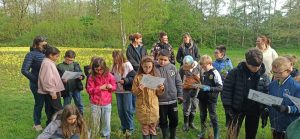 Restauration de la mare du site Chico Mendes