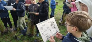 Restauration de la mare du site Chico Mendes