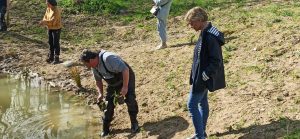 Restauration de la mare du site Chico Mendes
