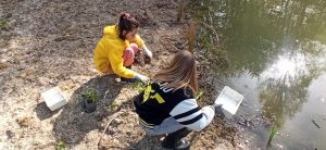 Restauration de la mare du site Chico Mendes