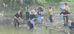Restauration de la mare du site Chico Mendes