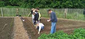 Tous au jardinage !