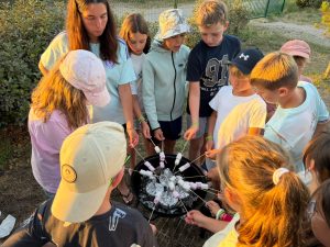 Camping à Marck